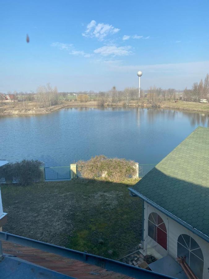 La Curia Panzio Bed & Breakfast Dunaszeg Dış mekan fotoğraf