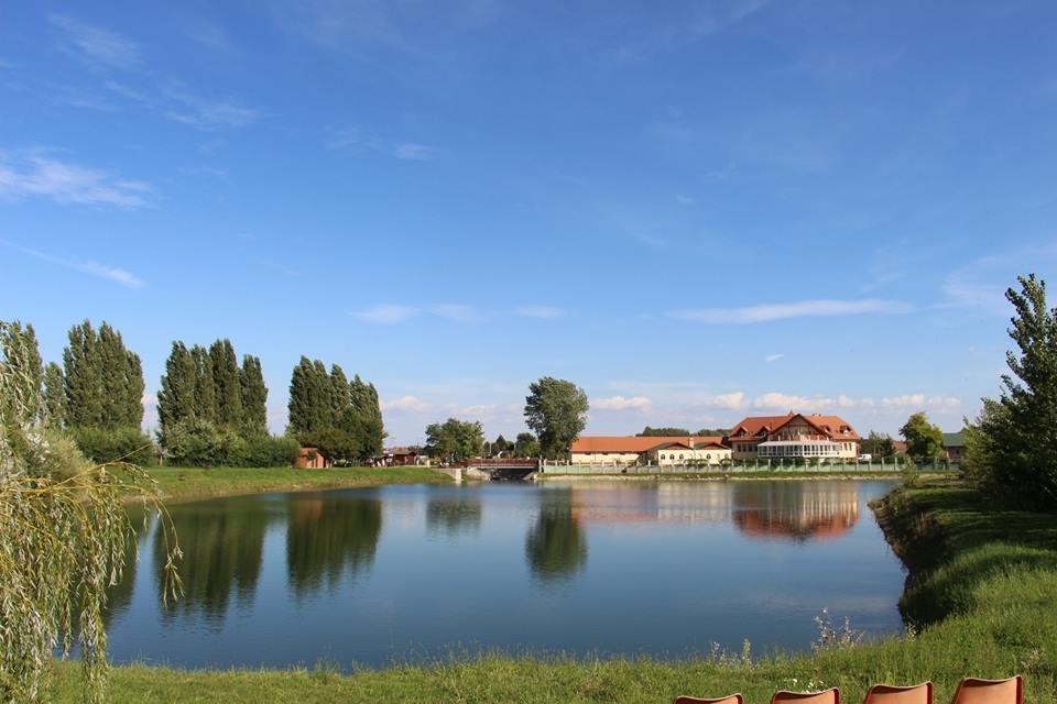 La Curia Panzio Bed & Breakfast Dunaszeg Dış mekan fotoğraf